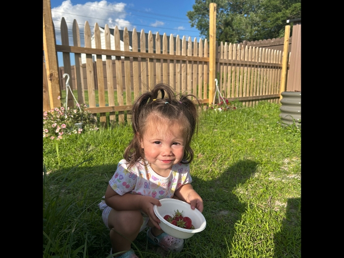 Photo of Toddlers